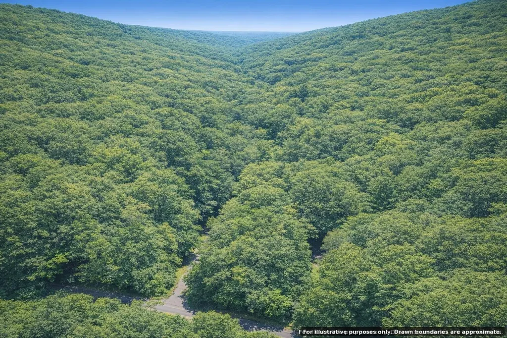 0 Bear Road Tallassee TN 37878