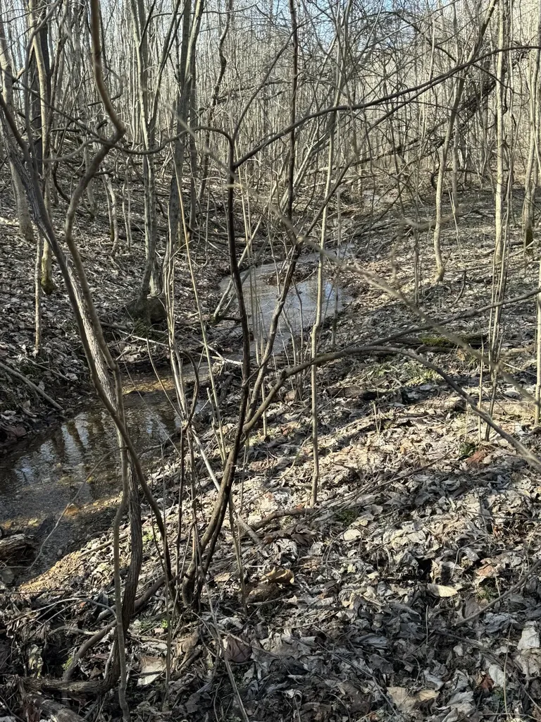 64 Long Rider Lane Clifton TN 38425