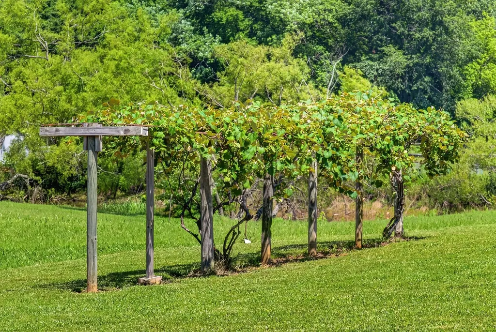 106 Overlook Court Portland TN 37148