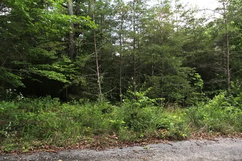 0 Meadow Drive Spencer TN 38585