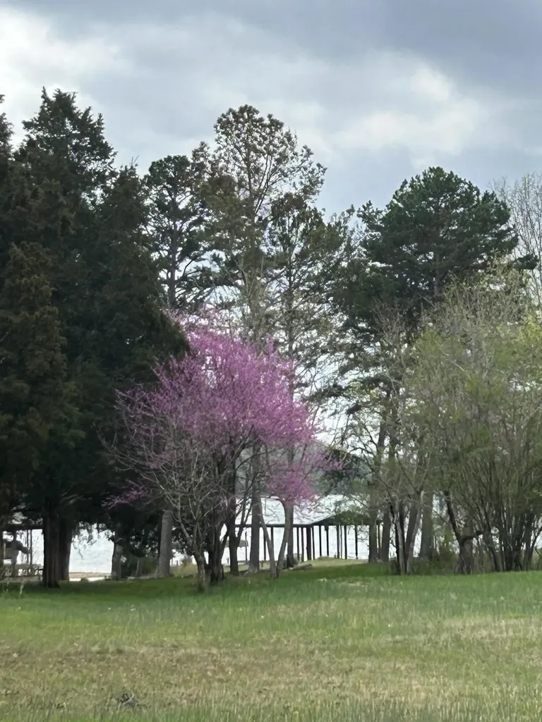 0 Pin Hook Road Spring City TN 37381