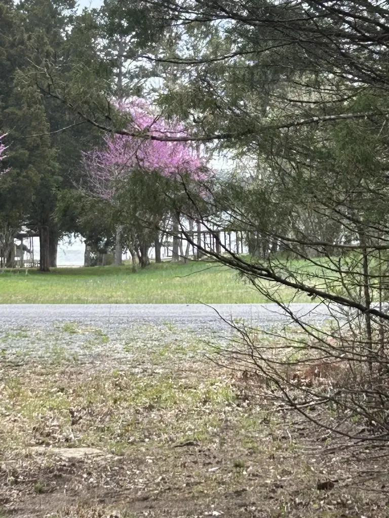 0 Pin Hook Road Spring City TN 37381