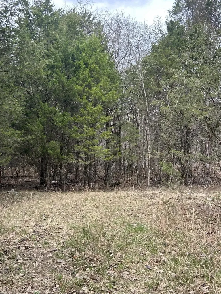 0 Pin Hook Road Spring City TN 37381