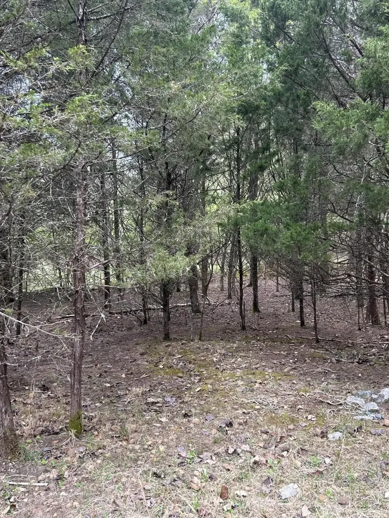 0 Pin Hook Road Spring City TN 37381