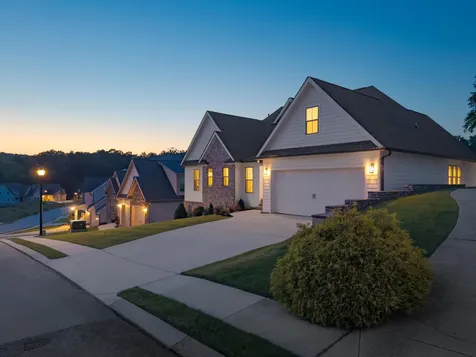 10651 Flicker Way Apison TN 37302