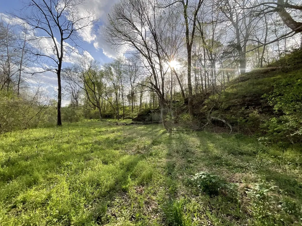 4 Bud Parker Lane Erin TN 37061