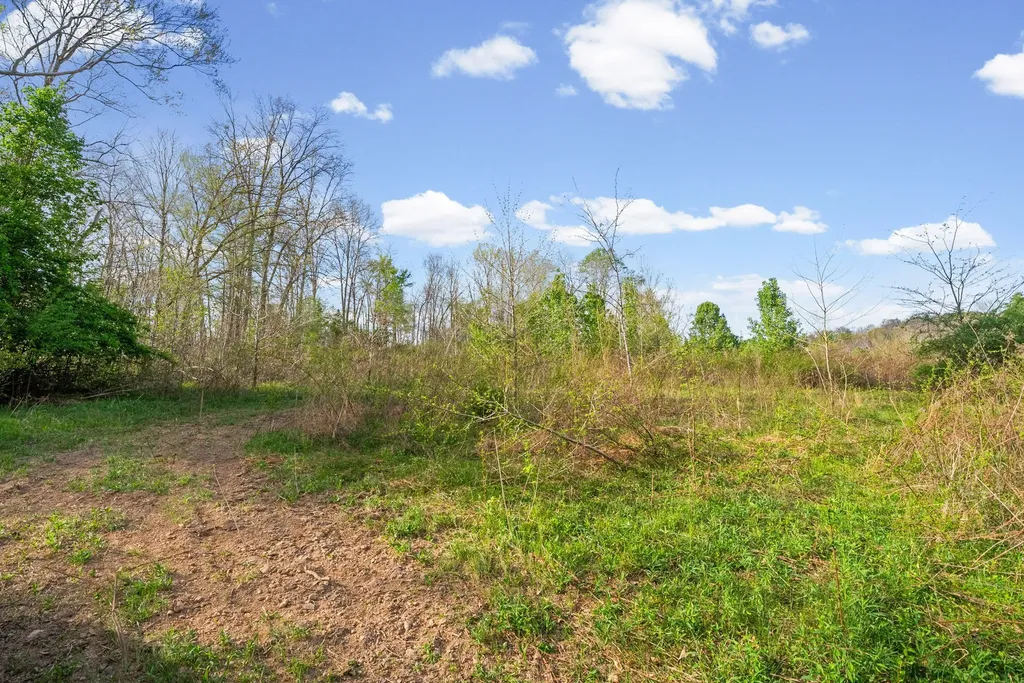 4 Bud Parker Lane Erin TN 37061