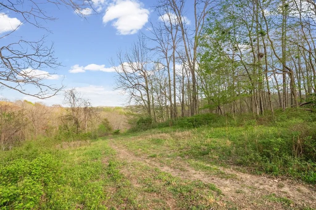 4 Bud Parker Lane Erin TN 37061