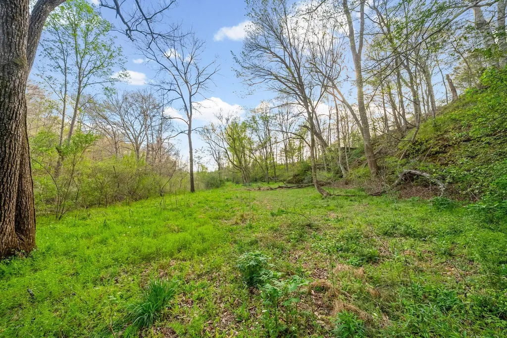 4 Bud Parker Lane Erin TN 37061