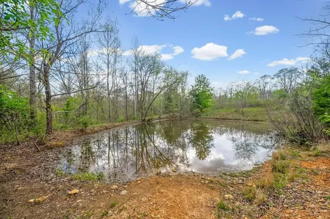4 Bud Parker Lane Erin TN 37061