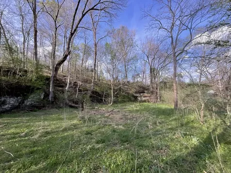 4 Bud Parker Lane Erin TN 37061