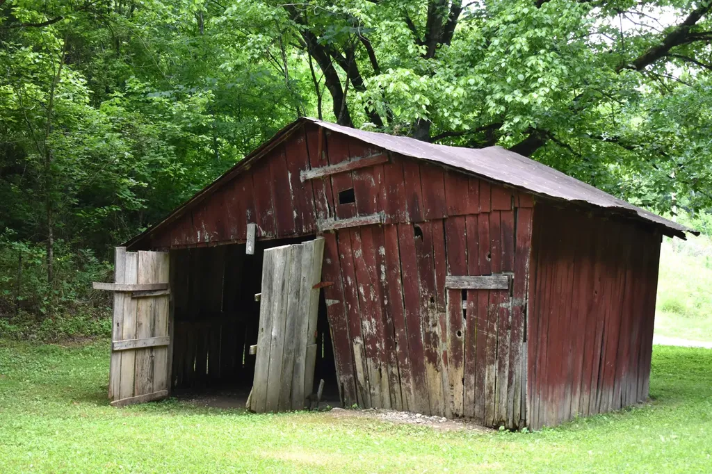 86 Dog Branch Road, S Pleasant Shade TN 37145