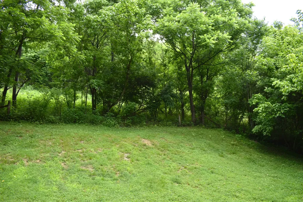 86 Dog Branch Road, S Pleasant Shade TN 37145