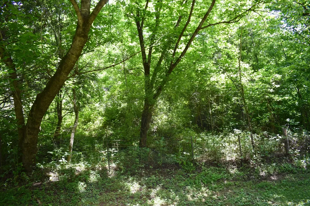 86 Dog Branch Road, S Pleasant Shade TN 37145