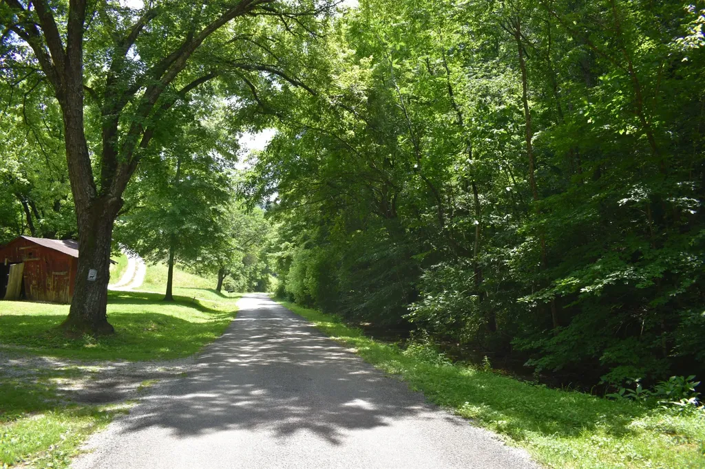 86 Dog Branch Road, S Pleasant Shade TN 37145