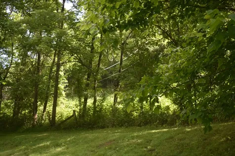 86 Dog Branch Road, S Pleasant Shade TN 37145