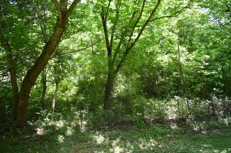 86 Dog Branch Road, S Pleasant Shade TN 37145
