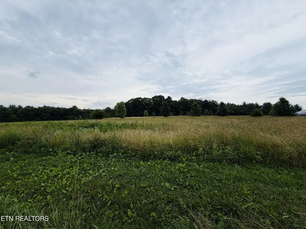 98 Tyler Trail Jamestown TN 38556