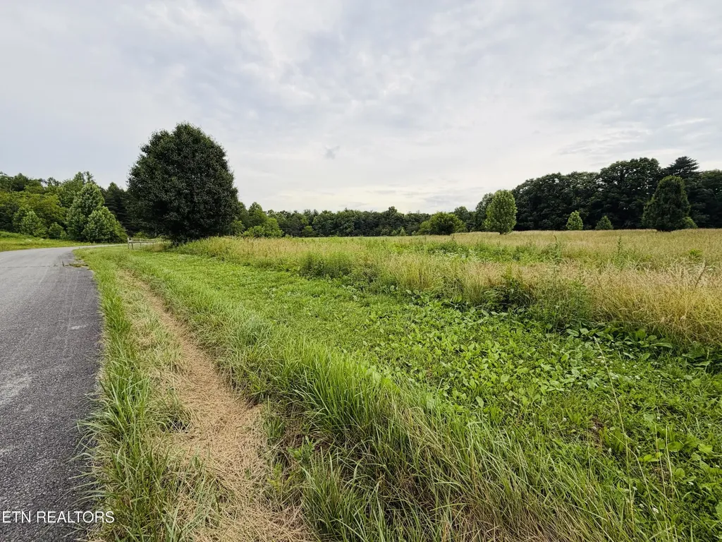 98 Tyler Trail Jamestown TN 38556