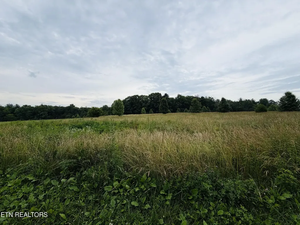 98 Tyler Trail Jamestown TN 38556
