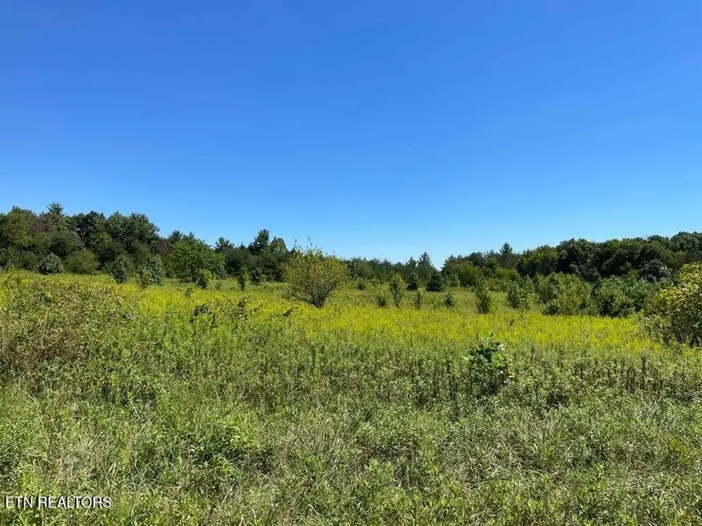 98 Tyler Trail Jamestown TN 38556