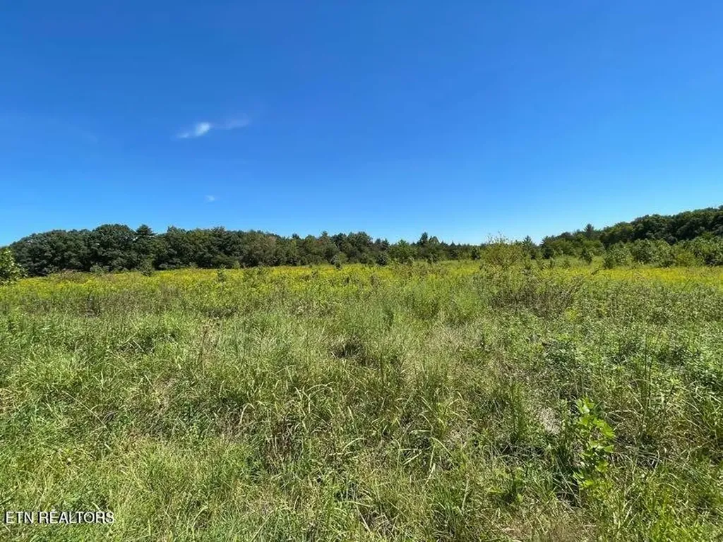 98 Tyler Trail Jamestown TN 38556