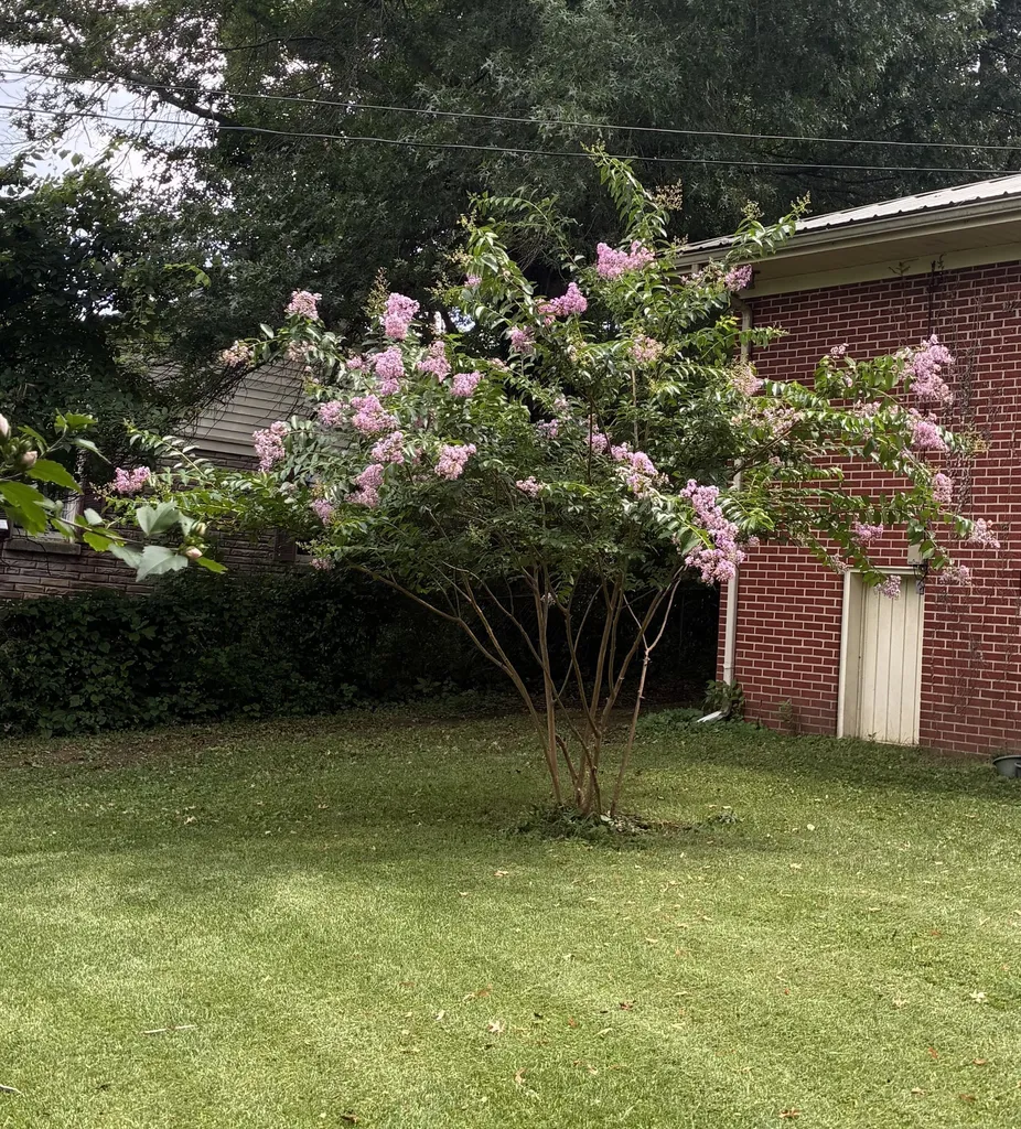 1082 Rolling Fields Circle Columbia TN 38401