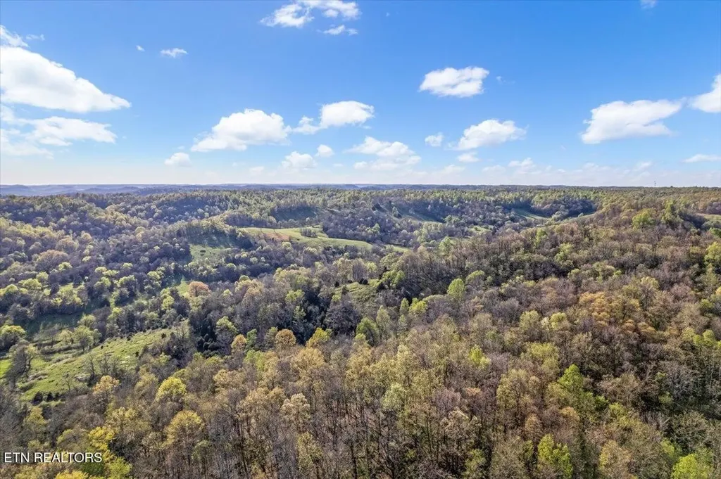 1624 Bartlett Hollow Road Petersburg TN 37144