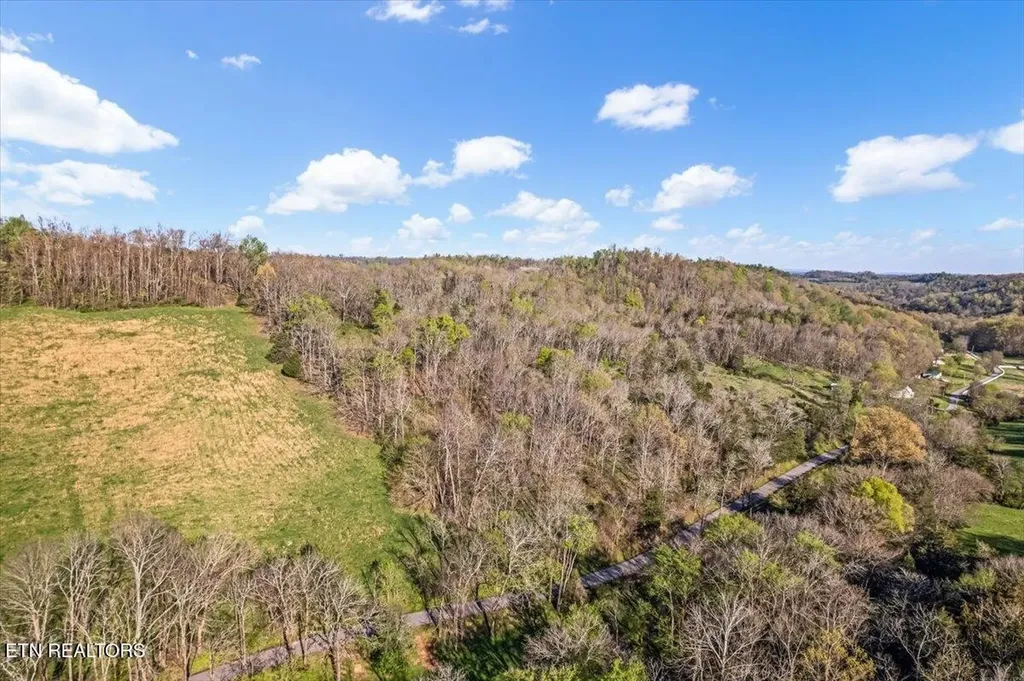 1624 Bartlett Hollow Road Petersburg TN 37144