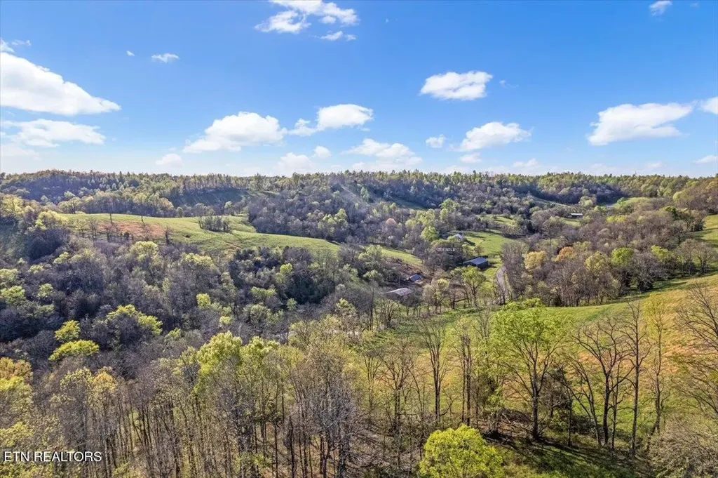 1624 Bartlett Hollow Road Petersburg TN 37144