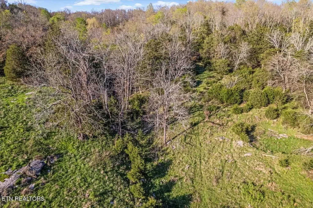 1624 Bartlett Hollow Road Petersburg TN 37144