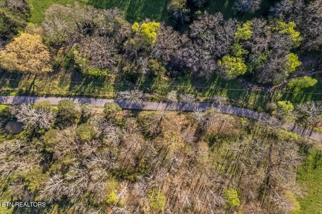 1624 Bartlett Hollow Road Petersburg TN 37144