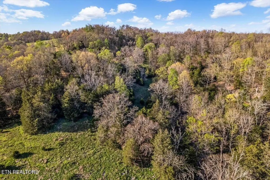 1624 Bartlett Hollow Road Petersburg TN 37144