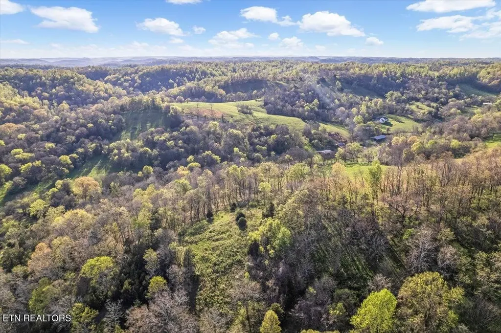 1624 Bartlett Hollow Road Petersburg TN 37144