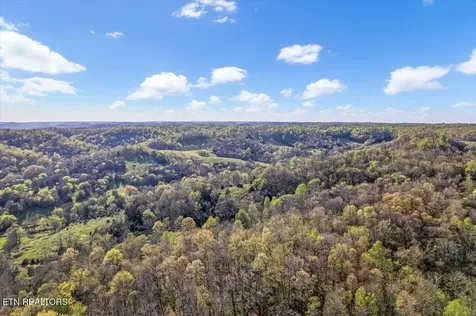 1624 Bartlett Hollow Road Petersburg TN 37144
