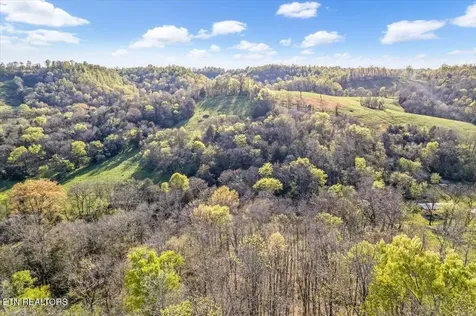 1624 Bartlett Hollow Road Petersburg TN 37144