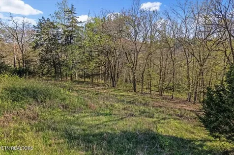 1624 Bartlett Hollow Road Petersburg TN 37144