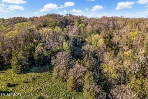 1624 Bartlett Hollow Road Petersburg TN 37144