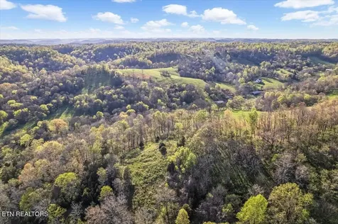 1624 Bartlett Hollow Road Petersburg TN 37144