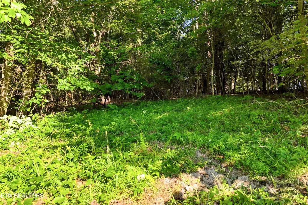 0 Daniels Road Knoxville TN 37938