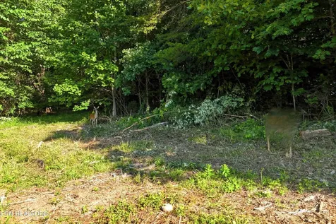 0 Daniels Road Knoxville TN 37938