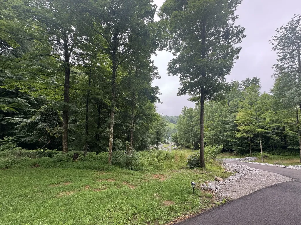 144 Hasty Drive Lynchburg TN 37352