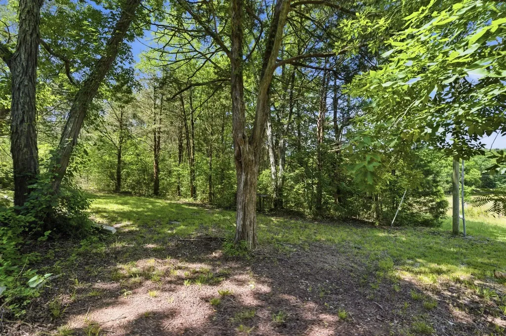1246 Salem Road Lebanon TN 37090