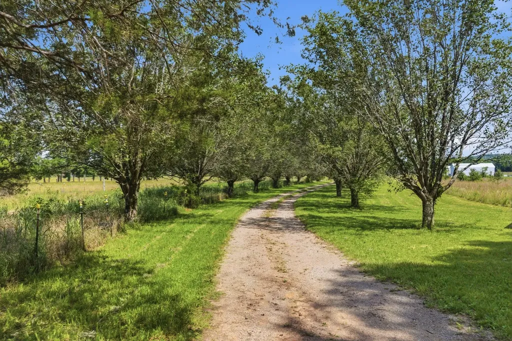 1246 Salem Road Lebanon TN 37090