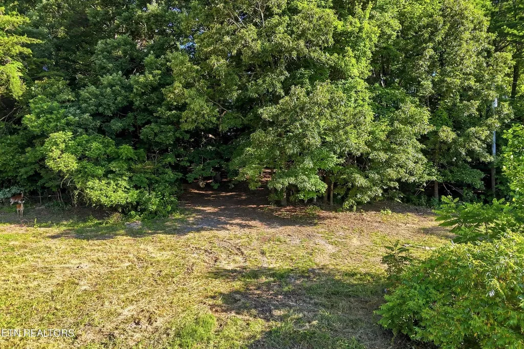 0 Daniels Road Knoxville TN 37938
