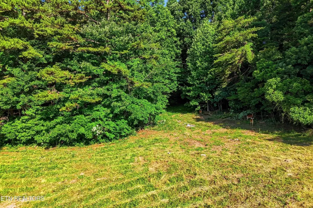 0 Daniels Road Knoxville TN 37938