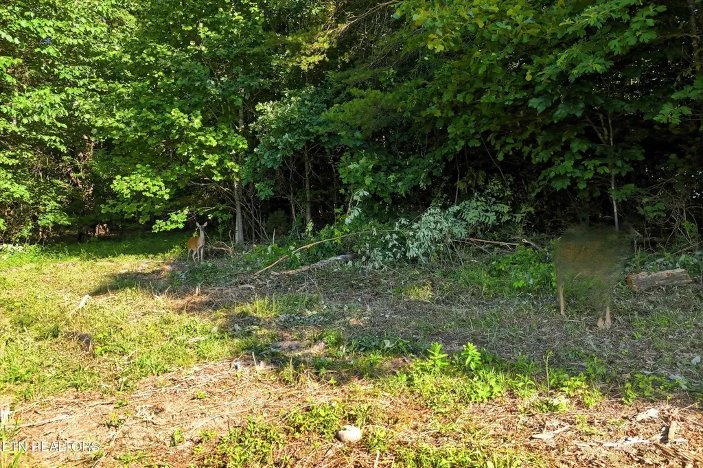 0 Daniels Road Knoxville TN 37938