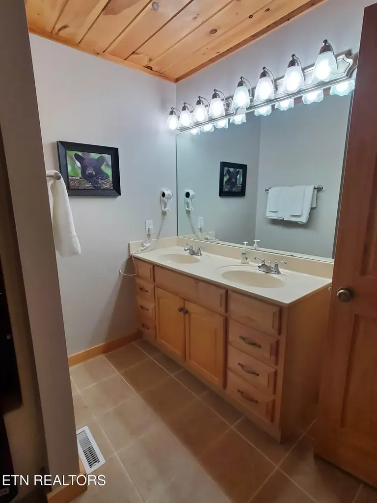 210 Meghans Way Townsend TN 37882