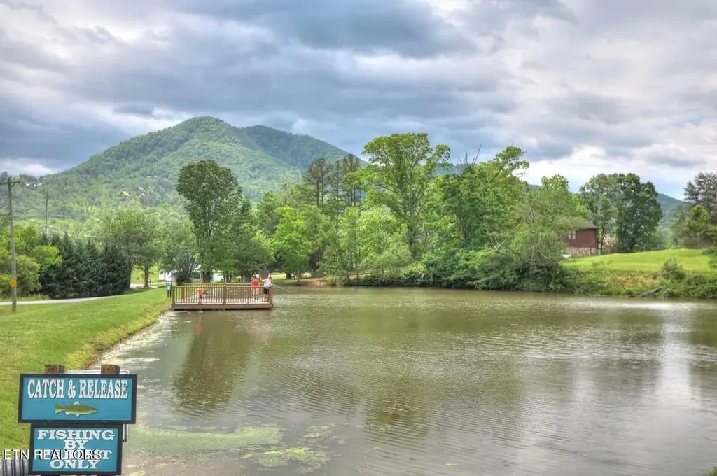 210 Meghans Way Townsend TN 37882