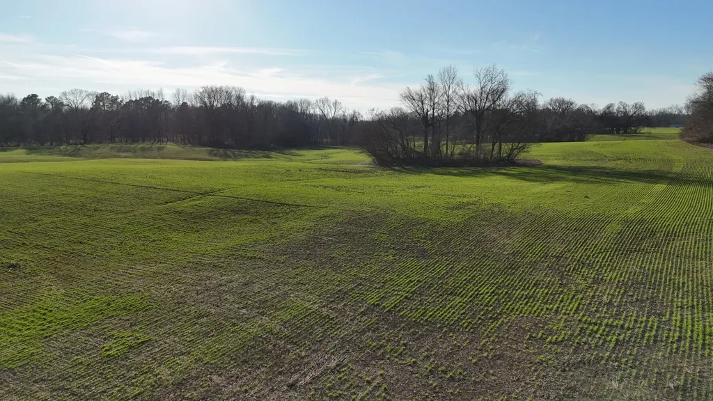 0 Chambers Road Millington TN 38053
